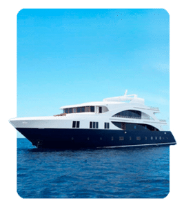 Liveaboard dressel divers Liveaboard dressel divers